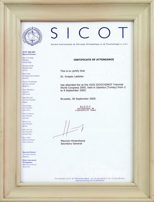 Certificitate of attendance Sicot